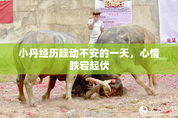 小丹经历躁动不安的一天，心情跌宕起伏