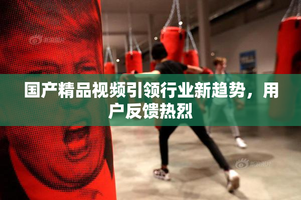 国产精品视频引领行业新趋势，用户反馈热烈