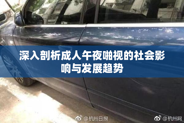 深入剖析成人午夜啪视的社会影响与发展趋势