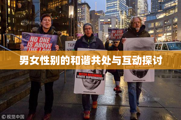 男女性别的和谐共处与互动探讨