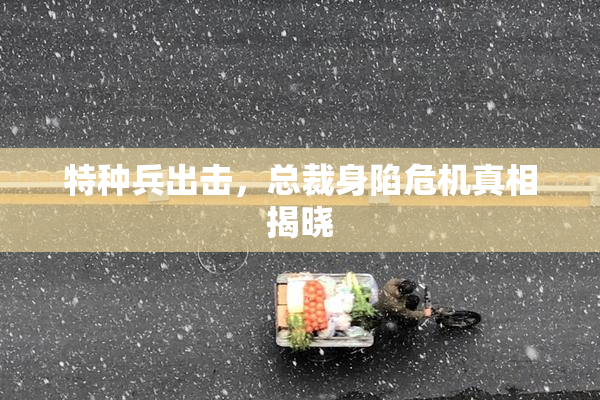 特种兵出击，总裁身陷危机真相揭晓