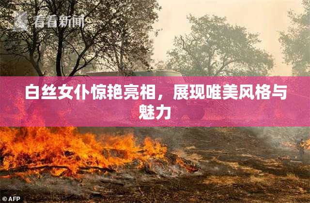 白丝女仆惊艳亮相，展现唯美风格与魅力