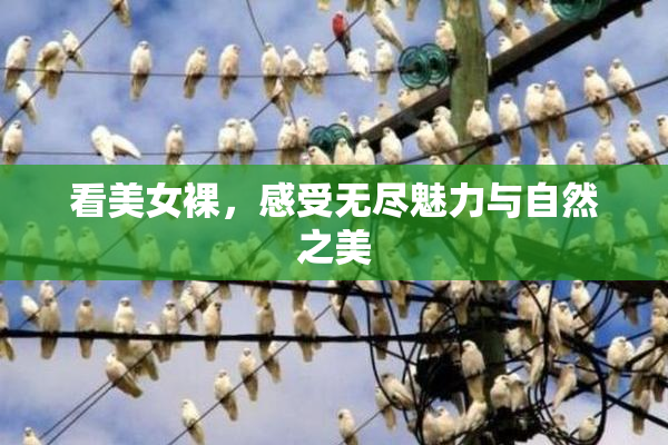 看美女裸，感受无尽魅力与自然之美