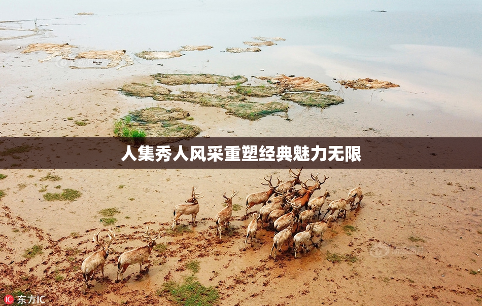 人集秀人风采重塑经典魅力无限
