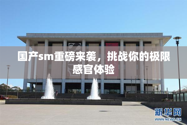 国产sm重磅来袭，挑战你的极限感官体验