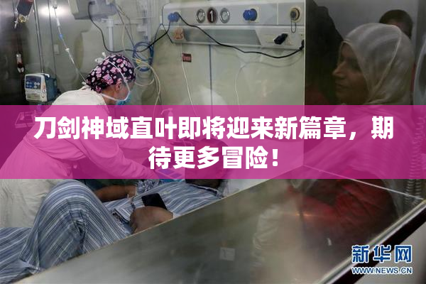 刀剑神域直叶即将迎来新篇章，期待更多冒险！