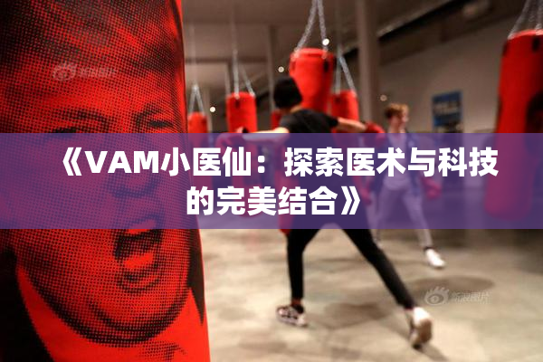 《VAM小医仙：探索医术与科技的完美结合》