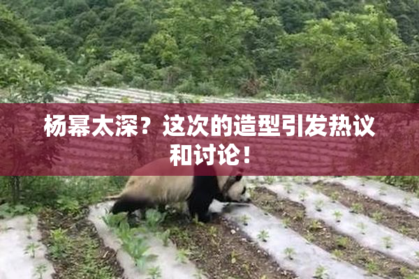 杨幂太深？这次的造型引发热议和讨论！