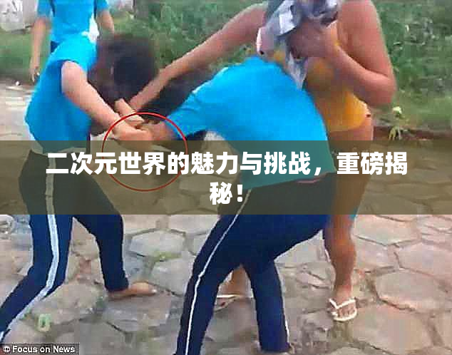 二次元世界的魅力与挑战，重磅揭秘！