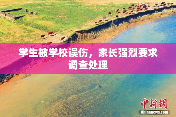 学生被学校误伤，家长强烈要求调查处理