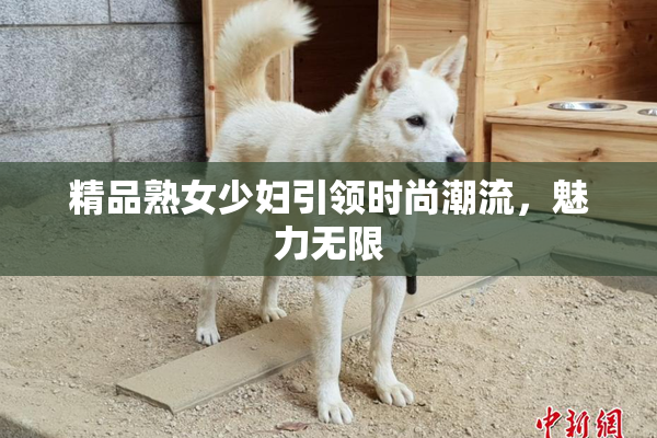 精品熟女少妇引领时尚潮流，魅力无限