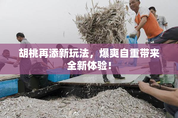 胡桃再添新玩法，爆爽自重带来全新体验！