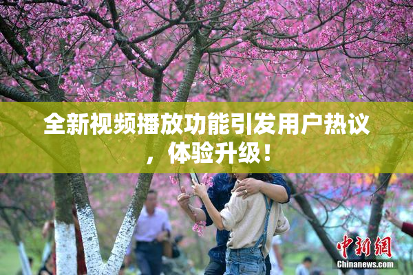 全新视频播放功能引发用户热议，体验升级！