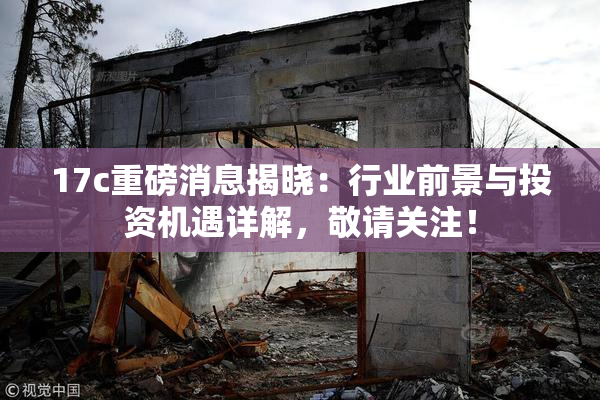17c重磅消息揭晓：行业前景与投资机遇详解，敬请关注！