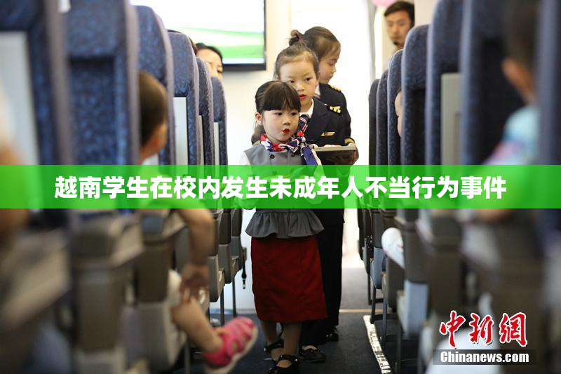越南学生在校内发生未成年人不当行为事件