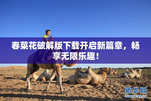 春菜花破解版下载开启新篇章，畅享无限乐趣！