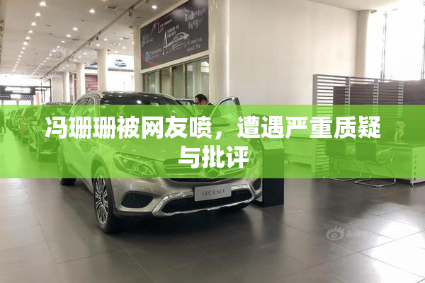 冯珊珊被网友喷，遭遇严重质疑与批评