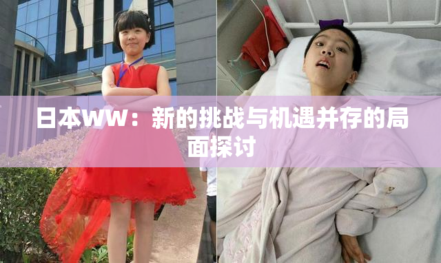 日本WW：新的挑战与机遇并存的局面探讨