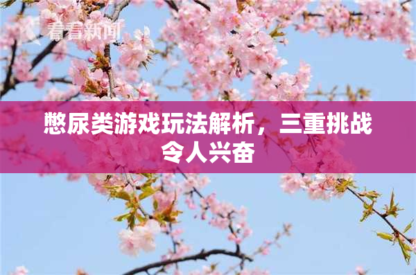 憋尿类游戏玩法解析，三重挑战令人兴奋