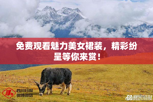 免费观看魅力美女裙装，精彩纷呈等你来赏！