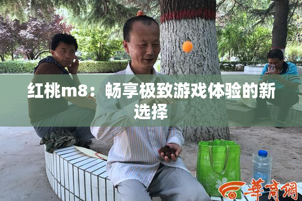 红桃m8：畅享极致游戏体验的新选择