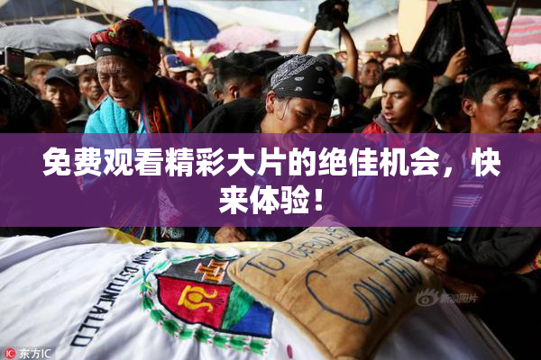 免费观看精彩大片的绝佳机会，快来体验！