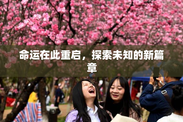 命运在此重启，探索未知的新篇章