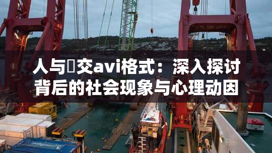 人与嘼交avi格式：深入探讨背后的社会现象与心理动因