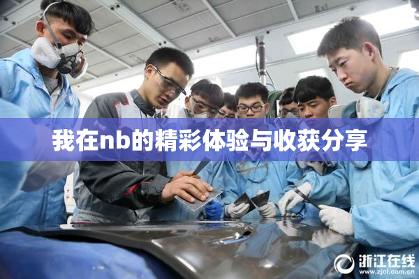 我在nb的精彩体验与收获分享