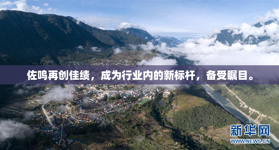 佐鸣再创佳绩，成为行业内的新标杆，备受瞩目。