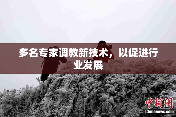 多名专家调教新技术，以促进行业发展