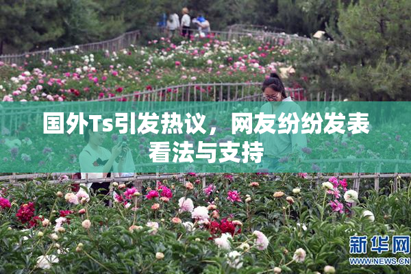 国外Ts引发热议，网友纷纷发表看法与支持