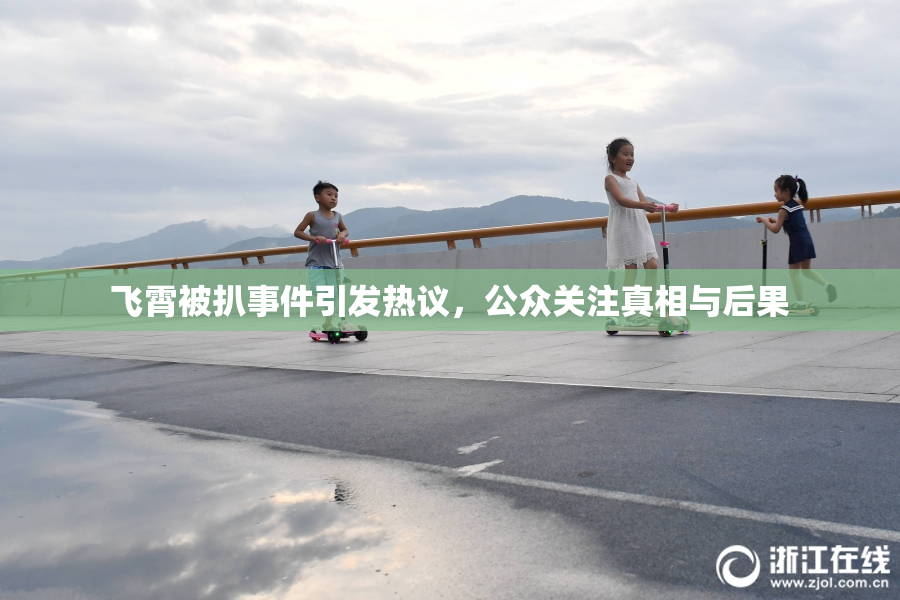 飞霄被扒事件引发热议，公众关注真相与后果