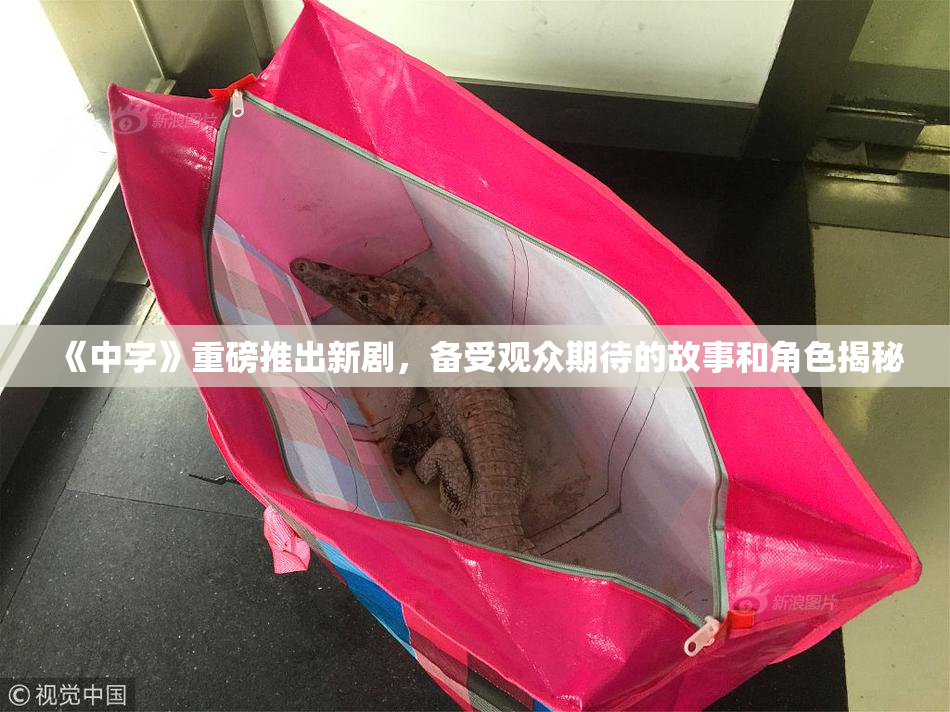 《中字》重磅推出新剧，备受观众期待的故事和角色揭秘