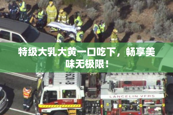 特级大乳大黄一口吃下，畅享美味无极限！
