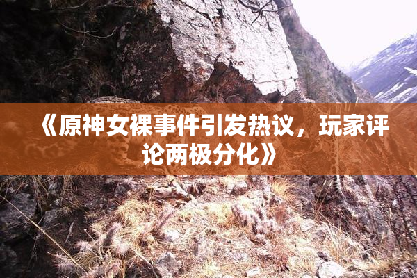 《原神女裸事件引发热议，玩家评论两极分化》