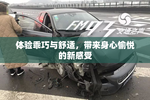 体验乖巧与舒适，带来身心愉悦的新感受
