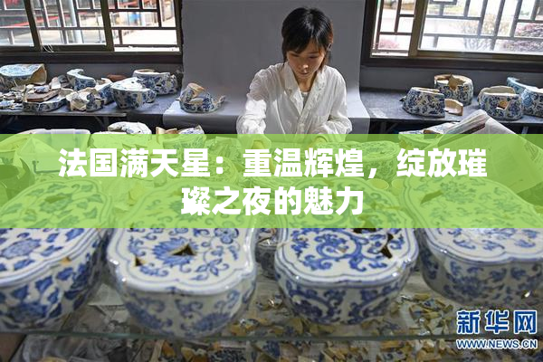 法国满天星：重温辉煌，绽放璀璨之夜的魅力