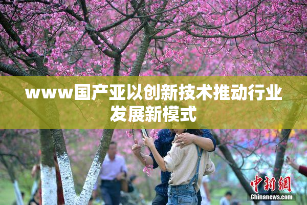www国产亚以创新技术推动行业发展新模式
