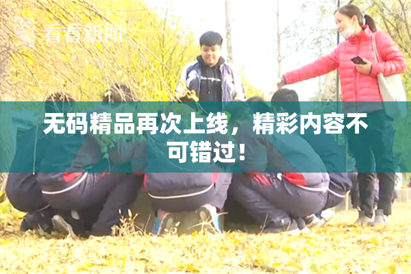 无码精品再次上线，精彩内容不可错过！