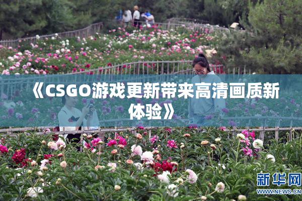 《CSGO游戏更新带来高清画质新体验》