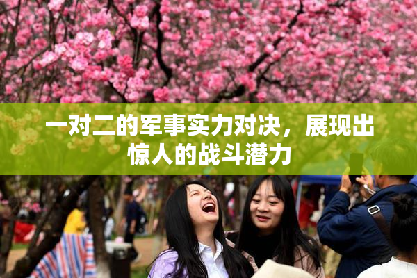 一对二的军事实力对决，展现出惊人的战斗潜力