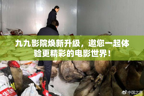 九九影院焕新升级，邀您一起体验更精彩的电影世界！