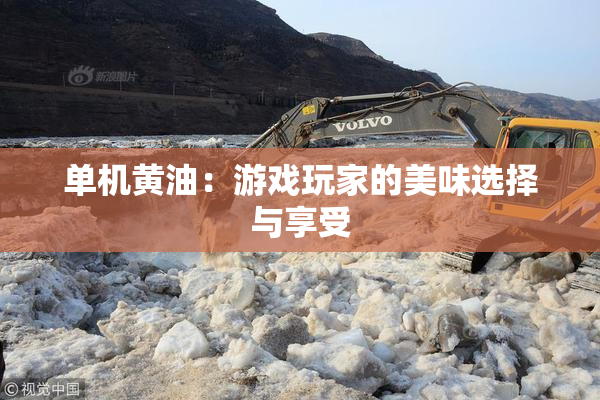 单机黄油：游戏玩家的美味选择与享受