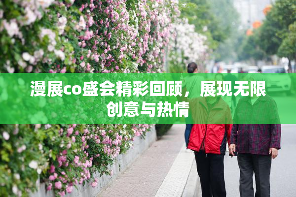 漫展co盛会精彩回顾，展现无限创意与热情