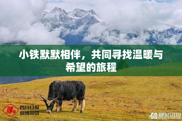 小铁默默相伴，共同寻找温暖与希望的旅程