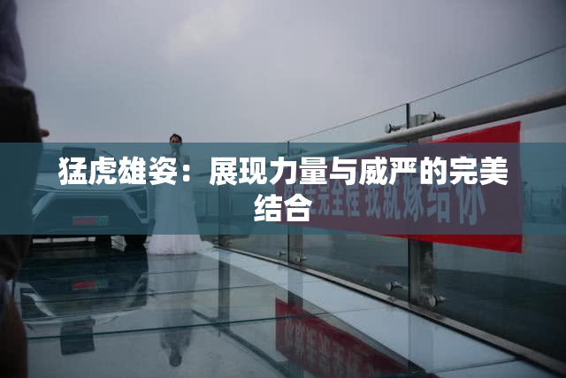 猛虎雄姿：展现力量与威严的完美结合