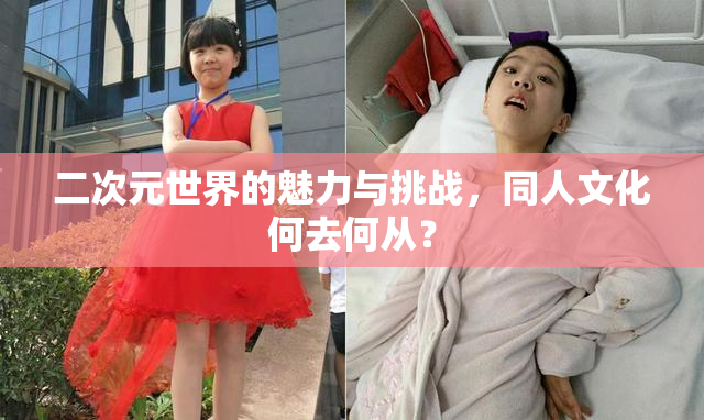 二次元世界的魅力与挑战，同人文化何去何从？