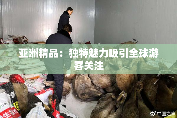 亚洲精品：独特魅力吸引全球游客关注