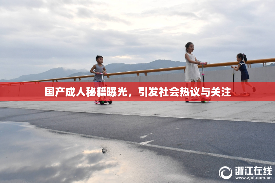 国产成人秘籍曝光，引发社会热议与关注